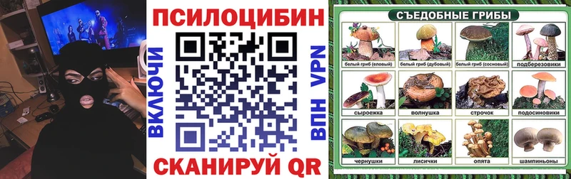 что такое   Владимир  Галлюциногенные грибы MAGIC MUSHROOMS 