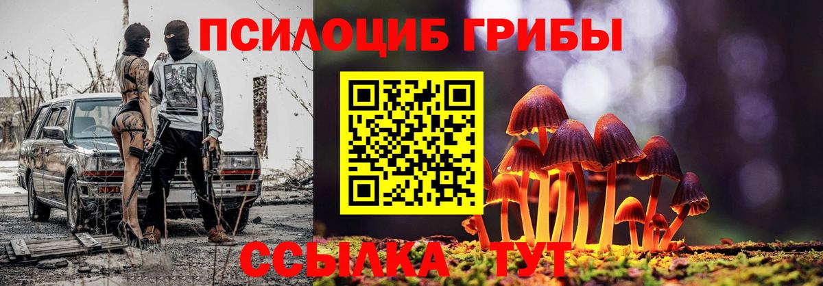Псилоцибиновые грибы прущие грибы Владимир