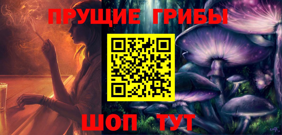 Псилоцибиновые грибы GOLDEN TEACHER Владимир