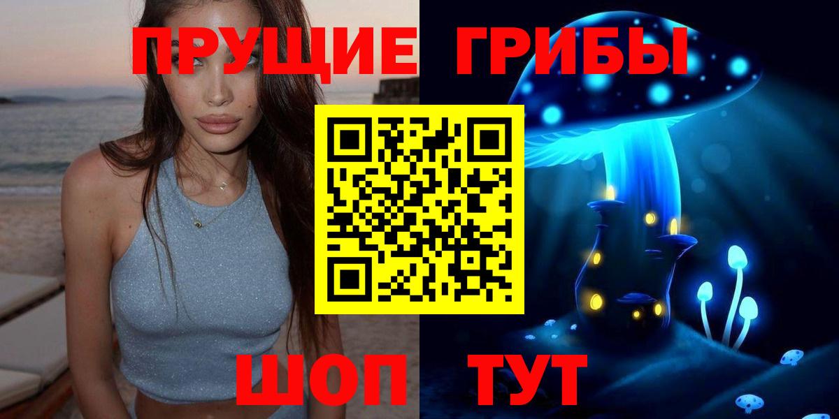 Владимир  Галлюциногенные грибы Psilocybine cubensis  Псилоцибиновые грибы мицелий  Вход с VPN 