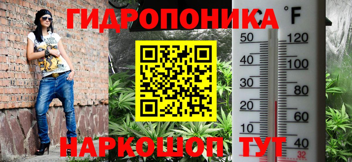 Бошки Шишки AK-47  Владимир  Марихуана Bruce Banner  Шишки марихуана марихуана 